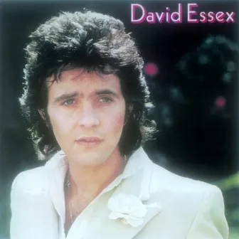 David Essex by David Essex