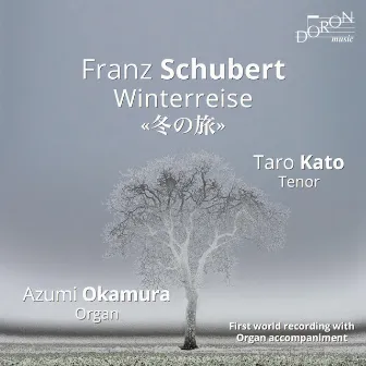 Schubert: Winterreise by Azumi Okamura