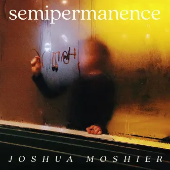 Semipermanence by Joshua Moshier