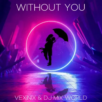 Without You, Pt. II by Vexinix