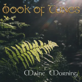 Maine Morning by Book of Tunes