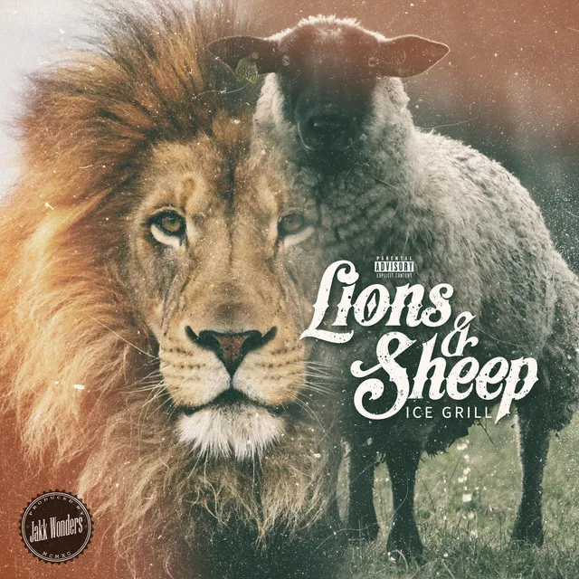 Lions & Sheep