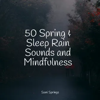 50 Spring & Sleep Rain Sounds and Mindfulness by Lightning, Thunder and Rain Storm