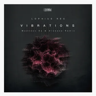 Vibrations by Lophius Rec