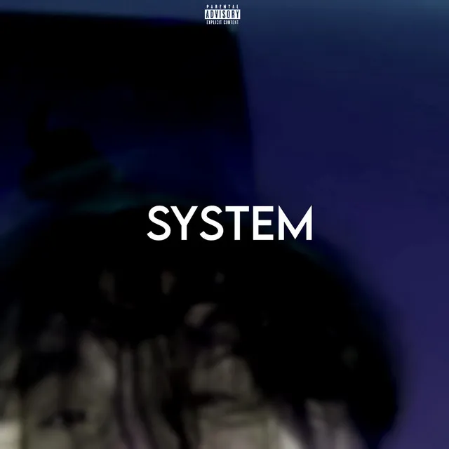 System