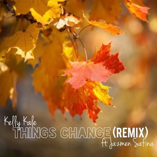 Things Change - Remix