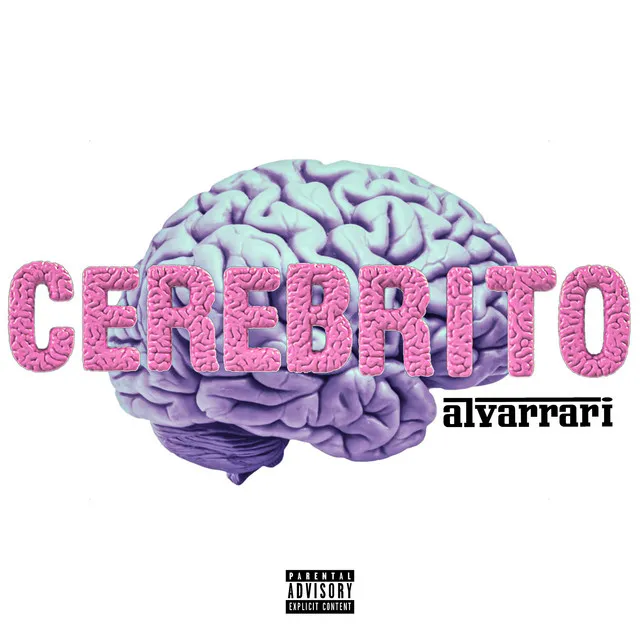 Cerebrito