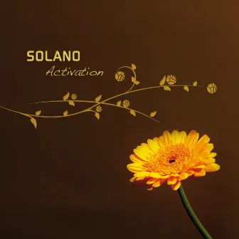 Activation by Solano