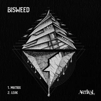 Matrix / Leak by Bisweed