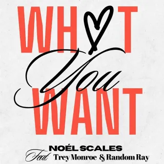 What You Want (Radio Edit) by Noél Scales