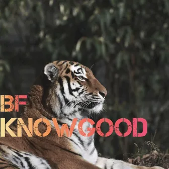 BF (Instrumental) by Knowgood