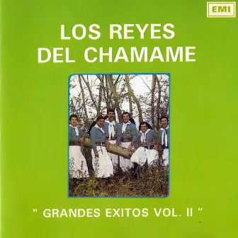 Grandes Éxitos, Vol.2 by Los Reyes Del Chamame