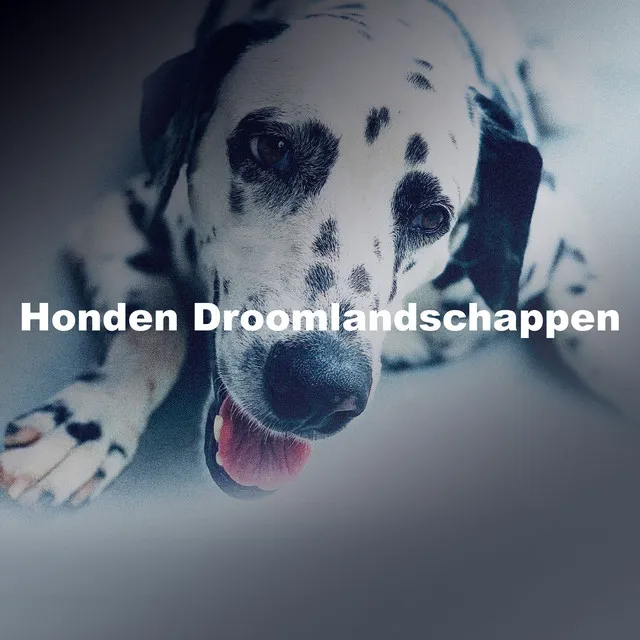 Honden Droomlandschappen