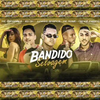 Bandido Selvagem by MC Mandraka