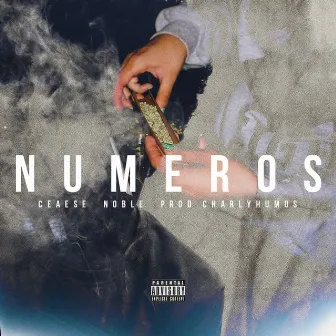 Numeros by Noble