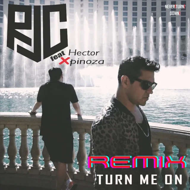 Turn Me On (Remix)