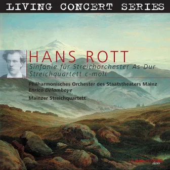 Living Concert Series - Rott: Symphony for String Orchestra - String Quartet by Enrico Delamboye