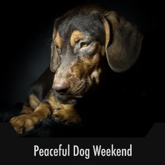 Peaceful Dog Weekend by Calming Dog Relaxation