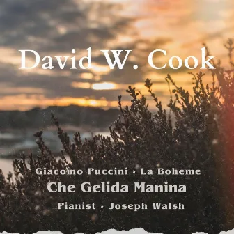 Che Gelida Manina by David W. Cook