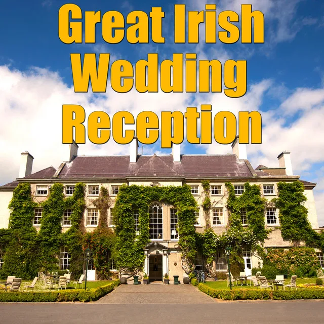 Great Irish Wedding Reception, Vol.1