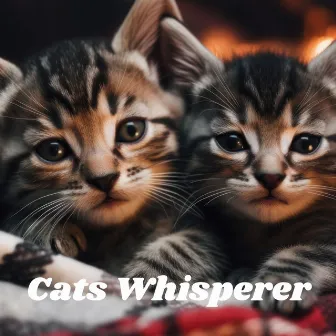 Cats Whisperer: Sound Therapy for Pets, Anxiety Alleviation for Your Cat, Calm Companions by Sleepy Cats!