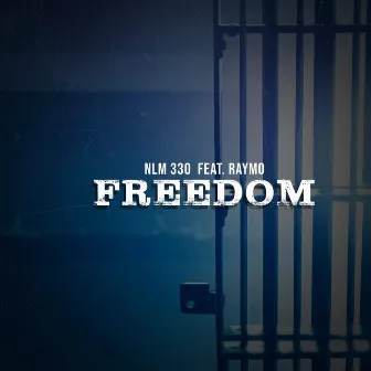 Freedom by Unknown Artist