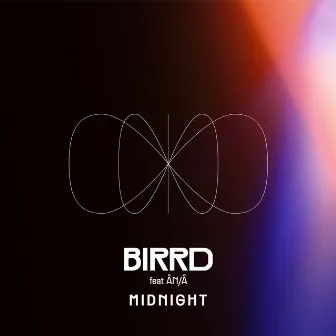 Midnight by Birrd