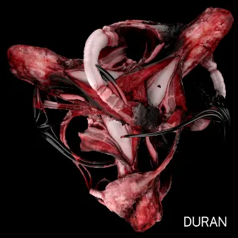 Duran by Duran Duran Duran