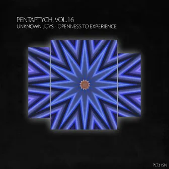 Openness to Experience (Pentaptych, Vol. 16) by unknown joys