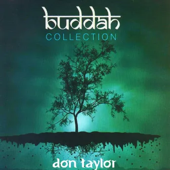 Buddah Collection by Don Taylor