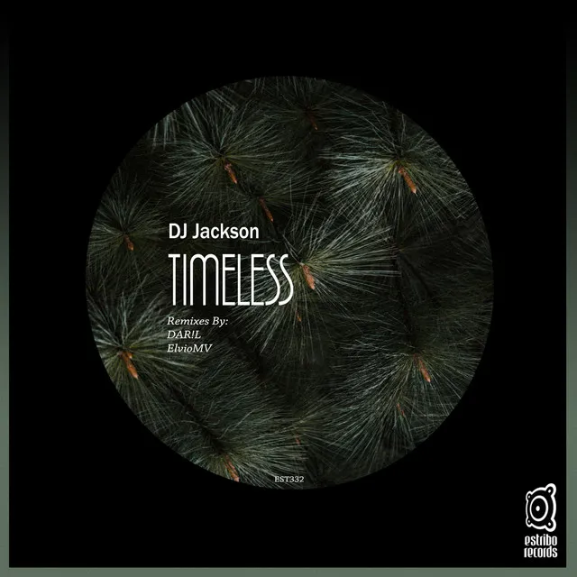 Timeless - DAR!L Remix