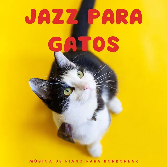 Jazz Para Gatos: Música De Piano Para Ronronear