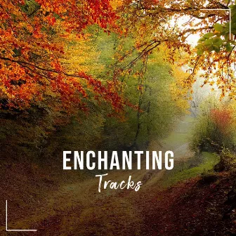 #2018 Enchanting Tracks for Reiki & Relaxation by Unknown Artist