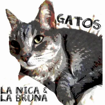 Gatos by la Bruna