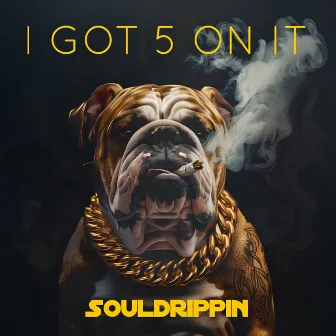 I Got 5 On It by Souldrippin