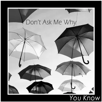 Don't Ask Me Why by You Know