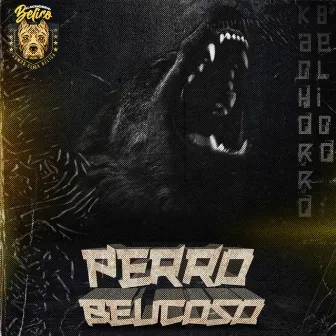 Perro Belicoso by Kachorro Belico