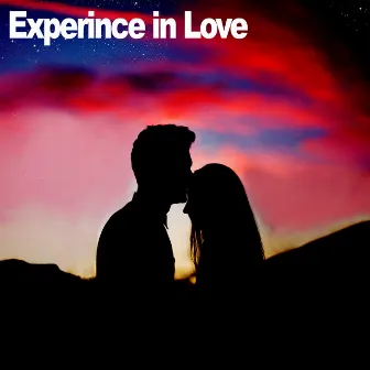 Experience in Love by Allison Spinney