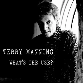 What's the Use by Terry Manning