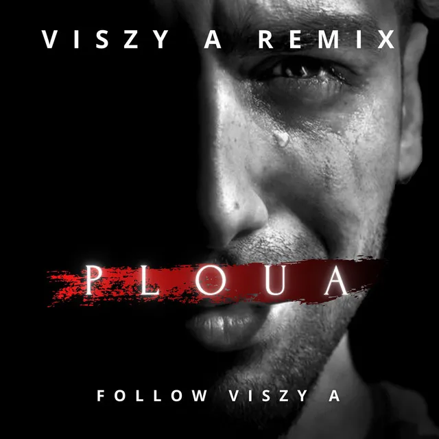 Ploua - Viszy A Remix