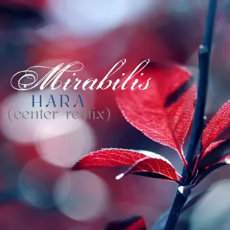 Hara (Center Remix) by Mirabilis