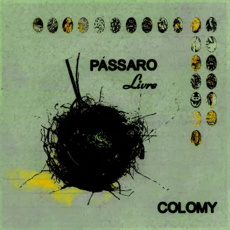 Pássaro Livre by Colomy