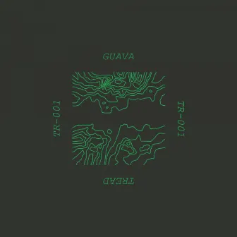 Guitarist EP by Guava