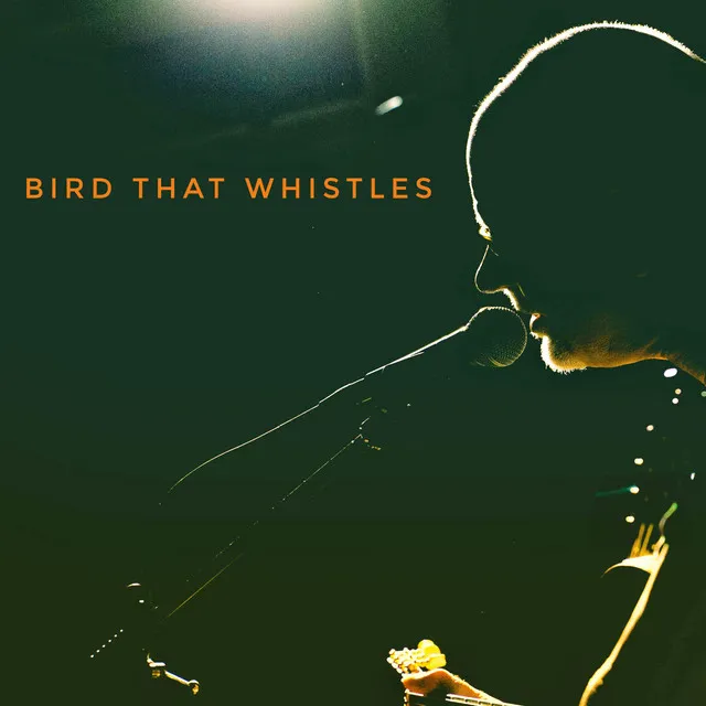 Bird that Whistles - Traditional