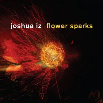 Flower Sparks by Joshua “IZ”