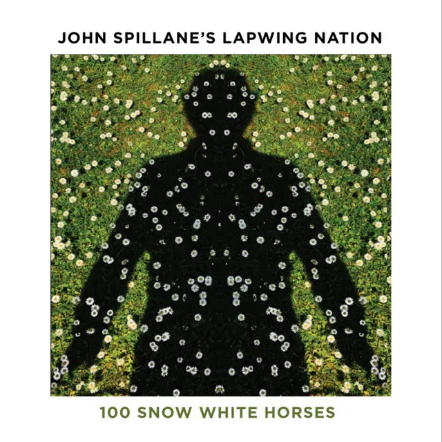 100 Snow White Horses