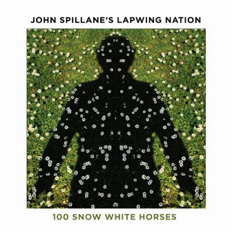 100 Snow White Horses by John Spillane