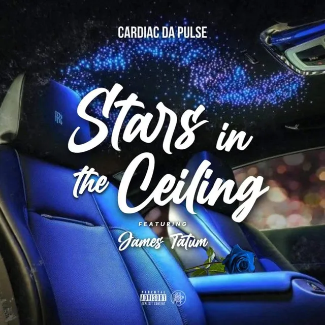 Stars In The Celing