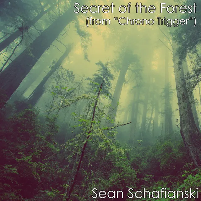 Secret of the Forest (From 