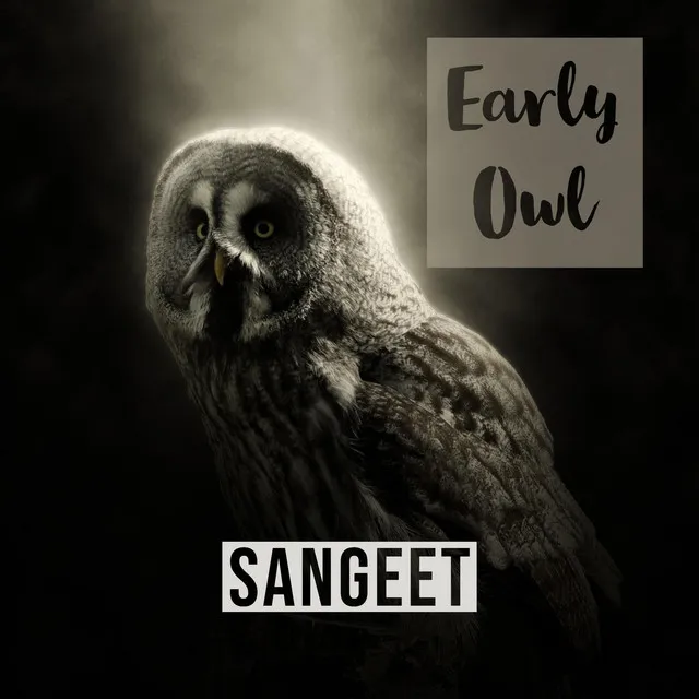 Early Owl